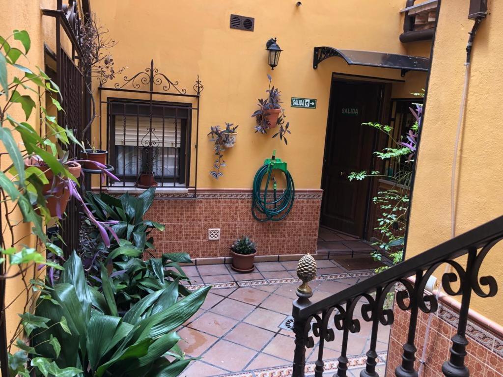 Appartement Apartamento Estudio De 50m2, Todo Exterior Y Con Patio, Ideal Para Parejas, Familias Con Ninos Pequenos Y Para De Largas Estancias, Con Techo Abuhardillado Y Una De Las Mejores Vistas De *